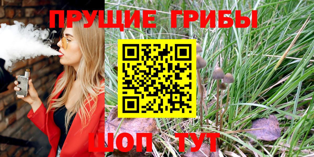 Александров  Псилоцибиновые грибы Magic Shrooms  Вход с VPN 