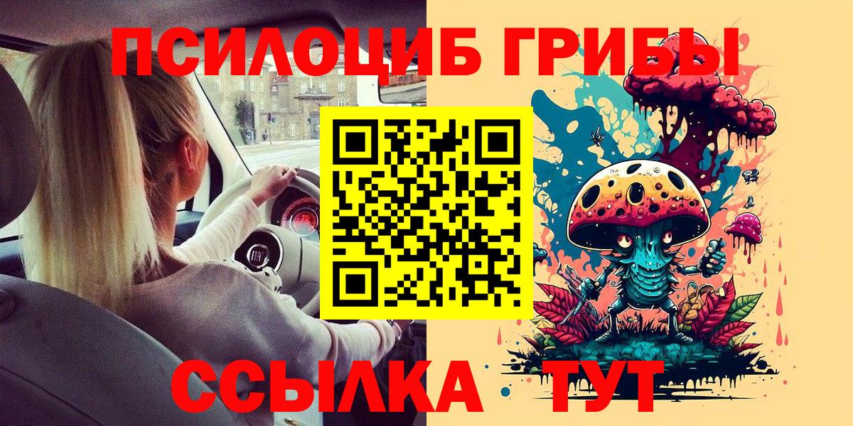 Галлюциногенные грибы Psilocybe Александров